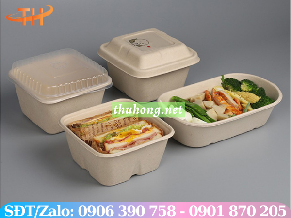 Hộp bã mía có nhiều mẫu mã sang trọng