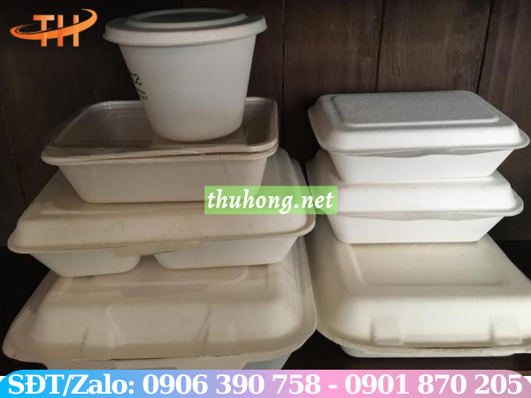 Hộp bã mía chữ nhật 1 ngăn nắp liền
