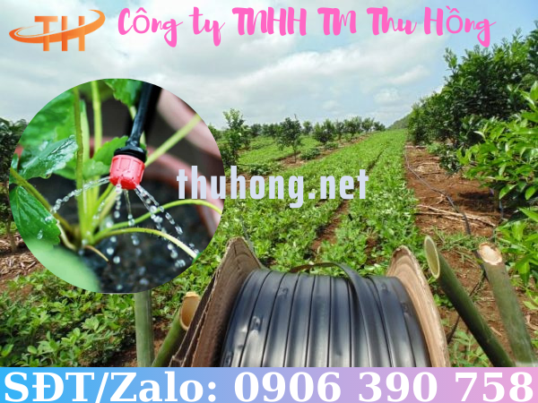 Tưới nhỏ giọt cho vườn rau
