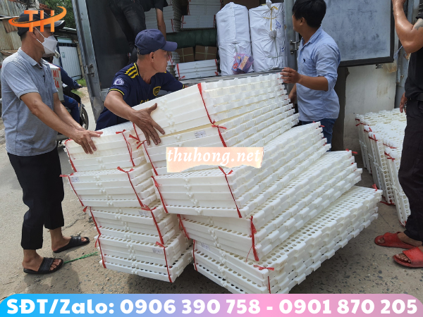 giao sàn dê giá rẻ