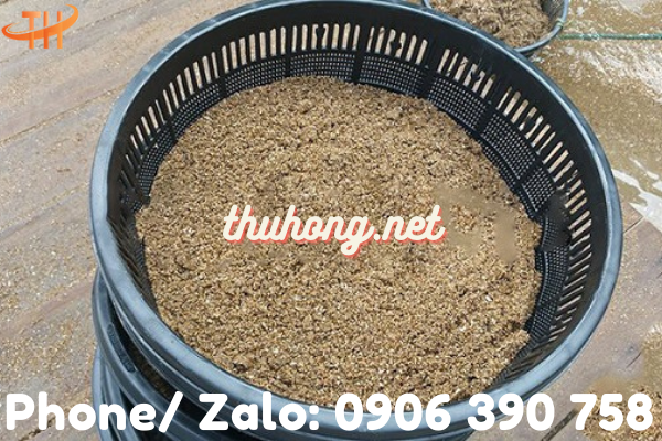 sử dụng rổ nhựa nuôi ngao, thủy sản, tu hài