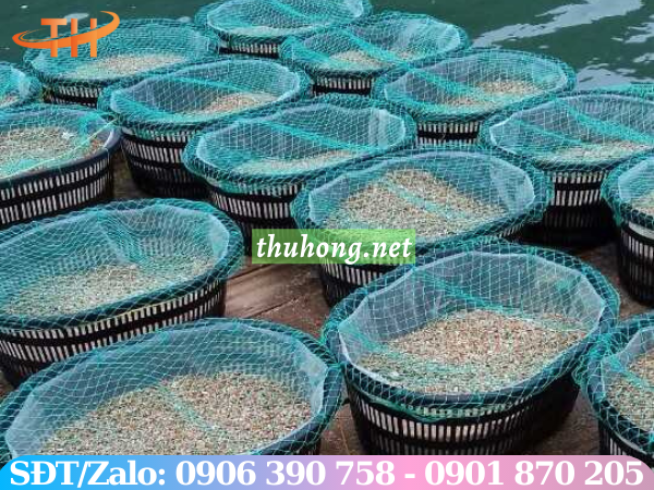 Rổ nhựa - lồng nhựa bầu dục nuôi ngao