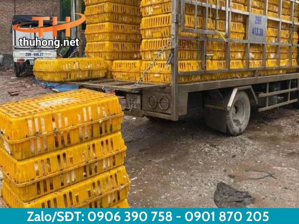 Lồng vận chuyển gà Lồng vận chuyển gà