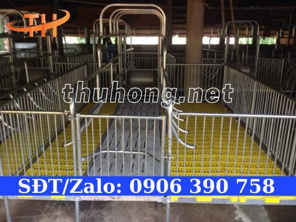 mô hình nuôi heo phổ biến với sàn nhựa