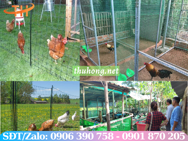 Lưới rào gà vịt