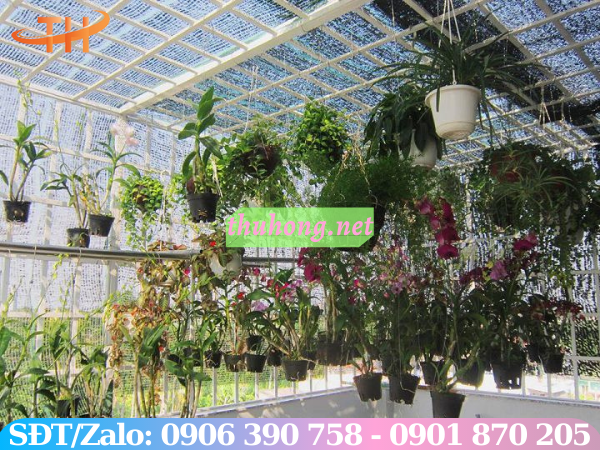 Vườn lan dùng lưới che nắng phát triển thuận lợi
