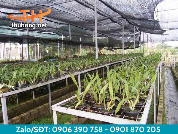 Lưới che nắng cho vườn hoa kiểng chất lượng Lưới che nắng cho vườn hoa kiểng chất lượng