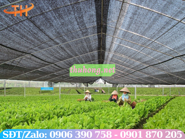 Lưới che nắng làm nhà kính