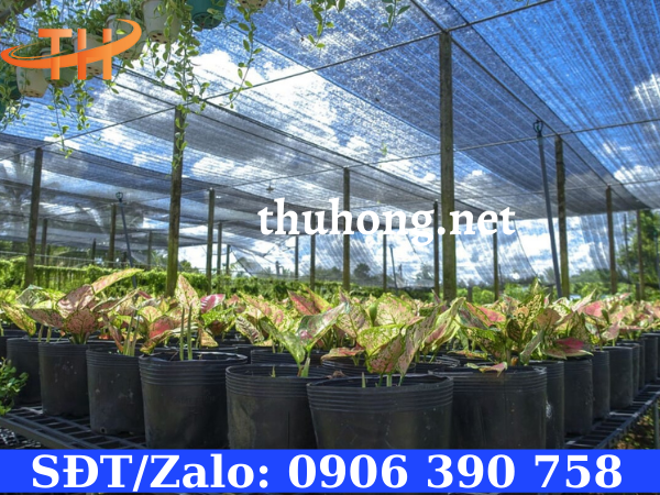 Lưới che cắt nắng cho vườn kiểng