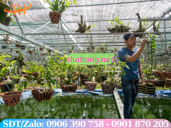 Lưới che nắng trồng lan