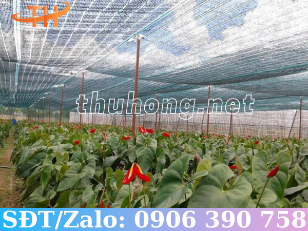 Lưới che nắng Thái Lan