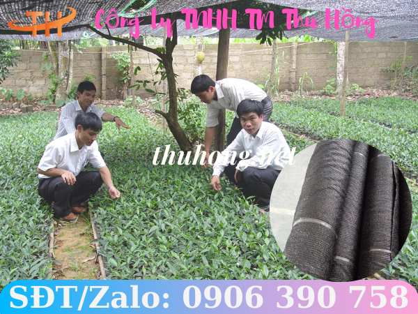 Lưới che nắng vườn ươm