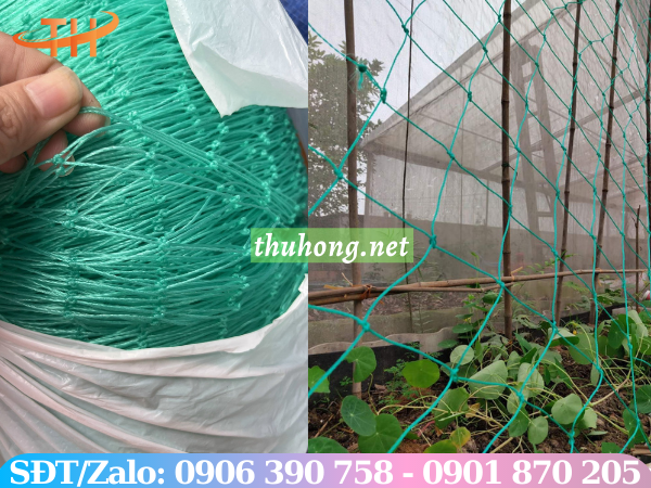 Lưới cước nhựa màu xanh ngọc