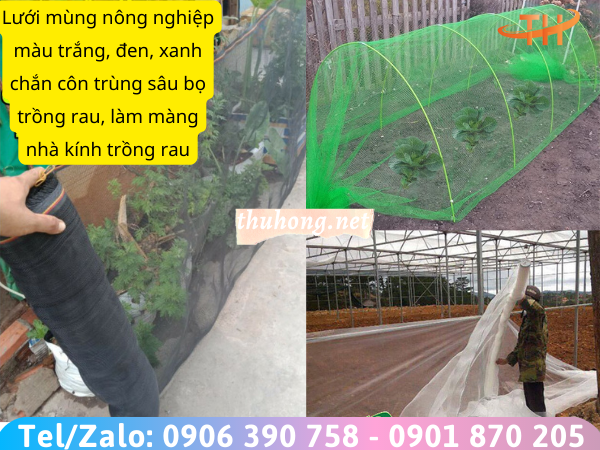 lưới nhựa chắn côn trùng trồng rau