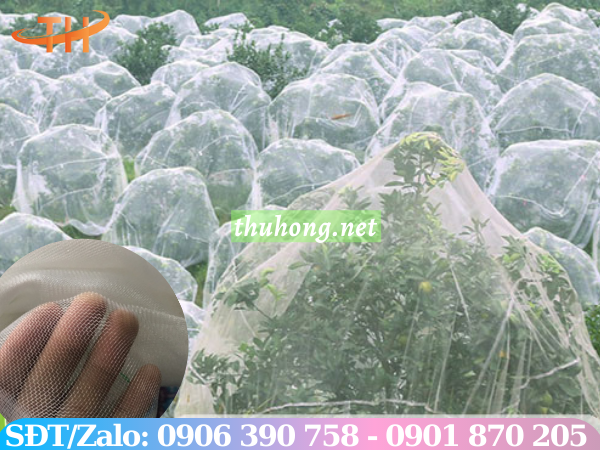 Lưới mùng chắn côn trùng