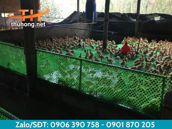 Lưới nhựa mắt cáo làm chuồng gà chuồng vịt Lưới nhựa mắt cáo làm chuồng gà chuồng vịt