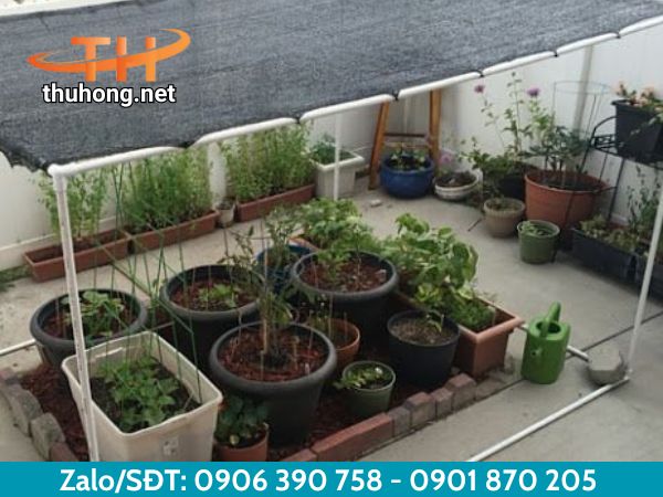 Lưới vườn lan là giải pháp đơn giản mà hiệu quả trong việc che nắng Lưới vườn lan là giải pháp đơn giản mà hiệu quả trong việc che nắng