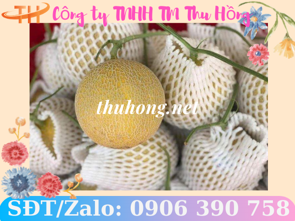 Lưới xốp bọc dưa lưới