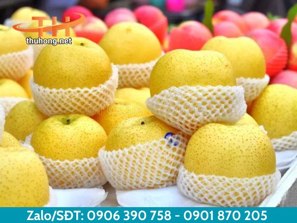 Lưới xốp Foam giúp bảo vệ trái cây Lưới xốp Foam giúp bảo vệ trái cây