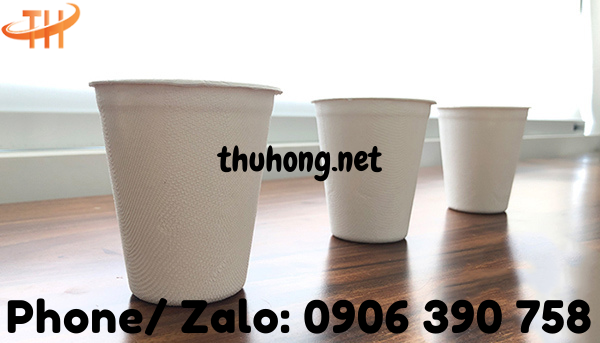 Ly làm từ bã mía có phải giải pháp thay thế ly nhựa an toàn