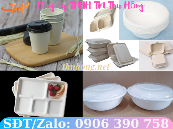 Các sản phẩm dùng 1 lần từ bã mía