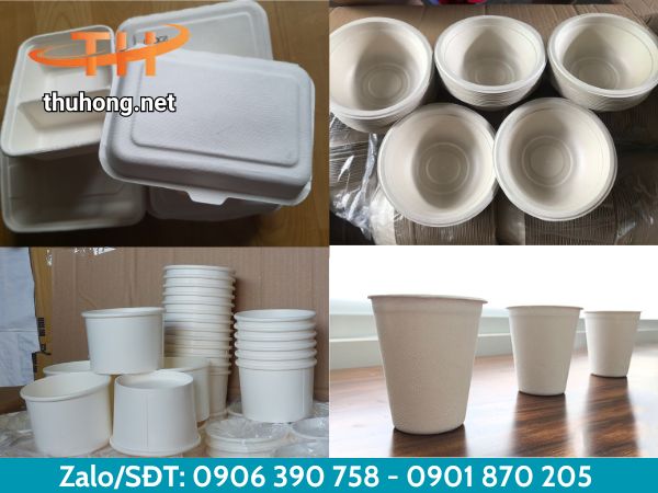 Ly, tô, hộp bã mía có nhiều kích cỡ khác nhau Ly, tô, hộp bã mía có nhiều kích cỡ khác nhau