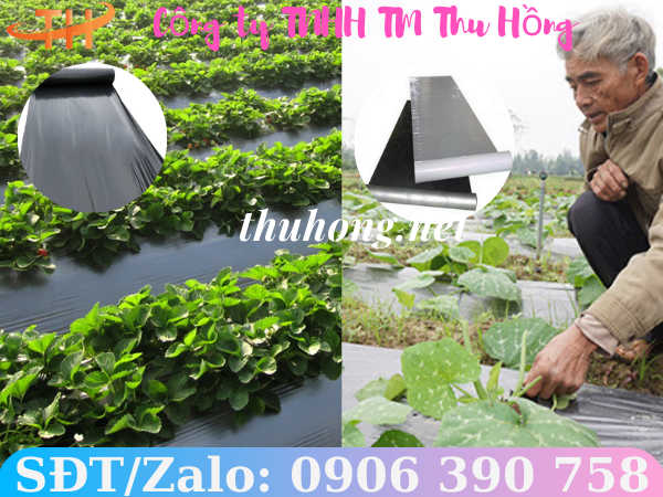 Màng phủ nông nghiệp màu đen
