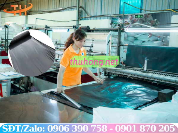 Giới thiệu màng phủ nông nghiệp