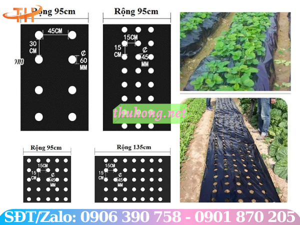 Màng phủ nông nghiệp đục lỗ sẵn