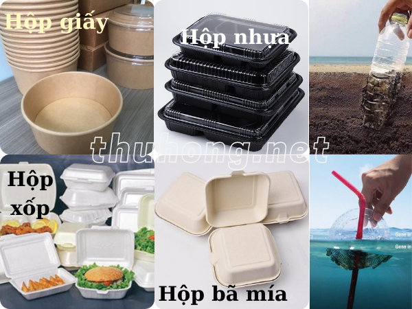 Sự phân hủy của hộp đựng thực phẩm
