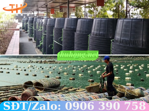 Kho rổ nhựa nuôi ngao hải sản