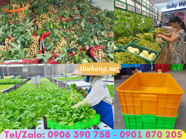 Ứng dụng thực tế của sóng nhựa