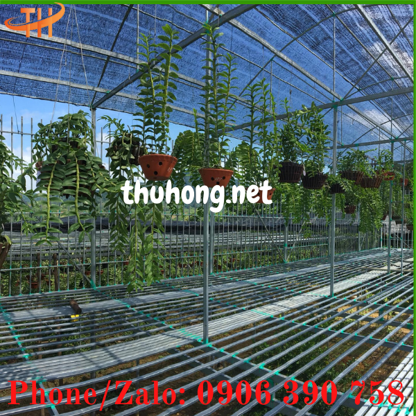 những diều cần biết khi sử dụng lưới chống nắng cho vườn lan