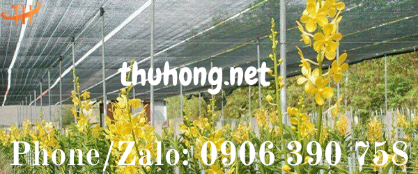 lựa chọn lưới chống nắng cho hoa lan