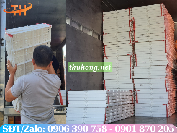 bán sỉ sàn nuôi dê