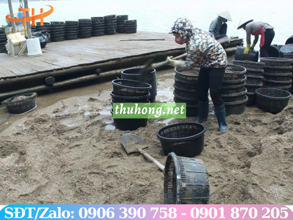 Rổ nhựa nuôi ngao màu đen 46cm