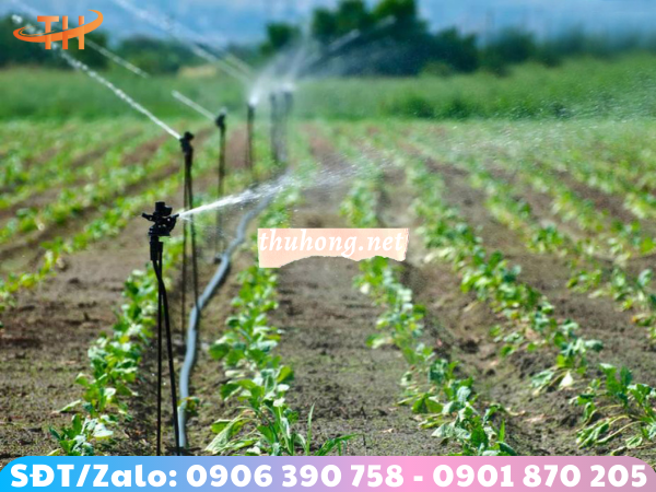 Ống nhựa HDPE tưới tiêu cây trồng