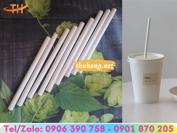 Lợi ích của ống hút giấy