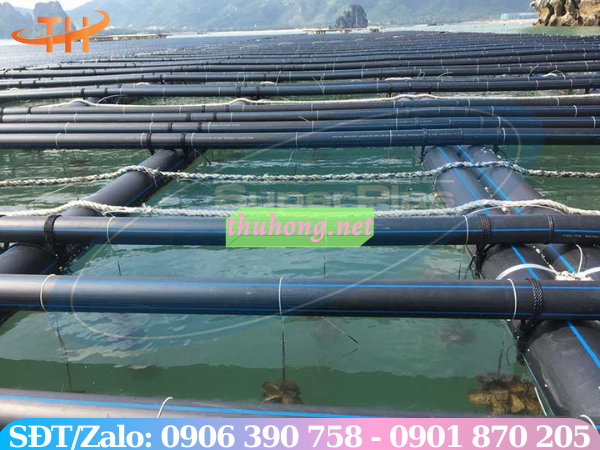 Ống nhựa HDPE sử dụng làm bè nổi nuôi cá, hải sản