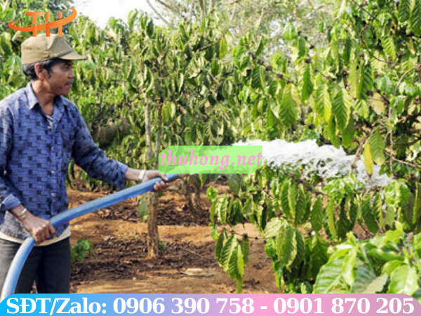 Ống nhựa lưới dẻo dùng tưới cây cà phê