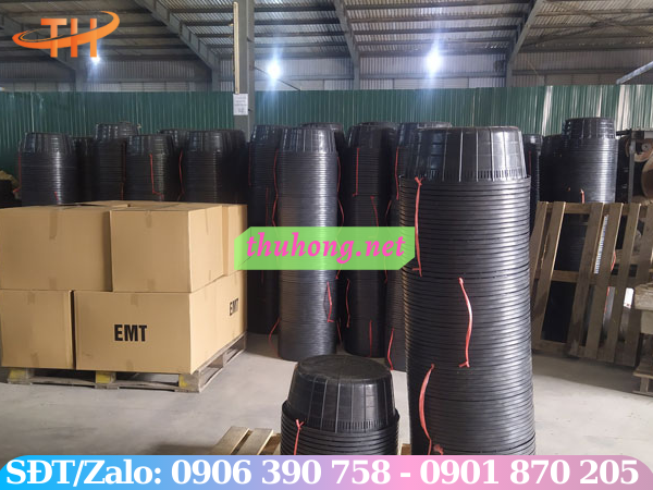 Rổ nhựa nuôi ngao Thu Hồng