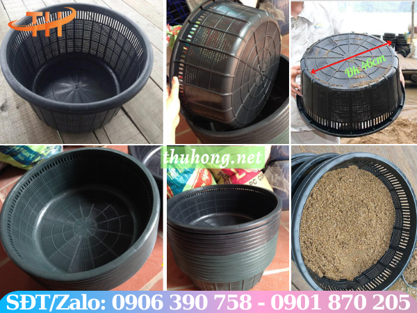 Rổ nhựa thiết kế chuyên dụng để nuôi ngao - hải sản