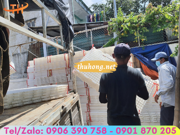 sàn nhựa nuôi dê chất lượng