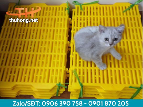 Sàn nhựa chăn nuôi kích thước 40x55 Sàn nhựa chăn nuôi kích thước 40x55