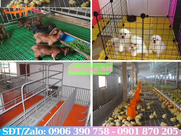 Sàn nhựa chăn nuôi có độ ứng dụng rộng rãi