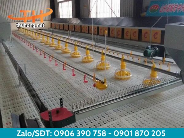 Sàn nhựa cho chuồng chăn nuôi chắc chắn Sàn nhựa cho chuồng chăn nuôi chắc chắn