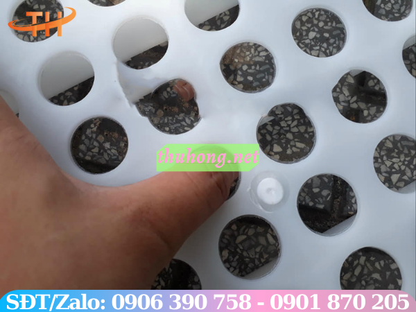 Sàn nhựa chăn nuôi lỗ tròn KT 50x100cm