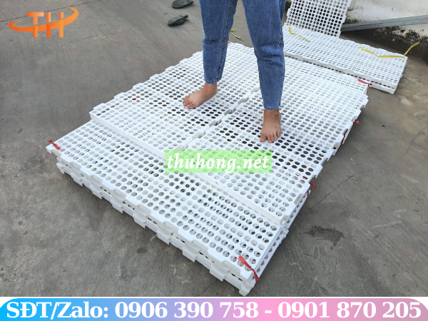 sàn nuôi dê lỗ tròn