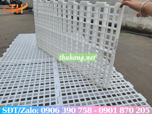 Sàn nhựa nuôi dê lỗ vuông 50*100cm