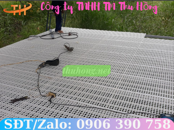 Sàn nhựa nuôi dê 50 x100cm